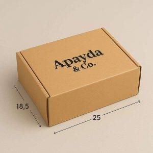 Cajas para Ecommerce 25×18,5×9,5 【DIRECTO FABRICA】