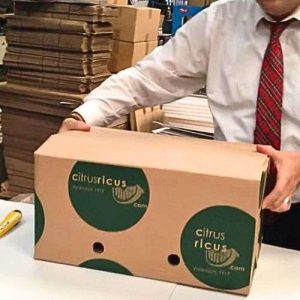 cajas par naranjas de 15 a 20 kg para envios de naranjas