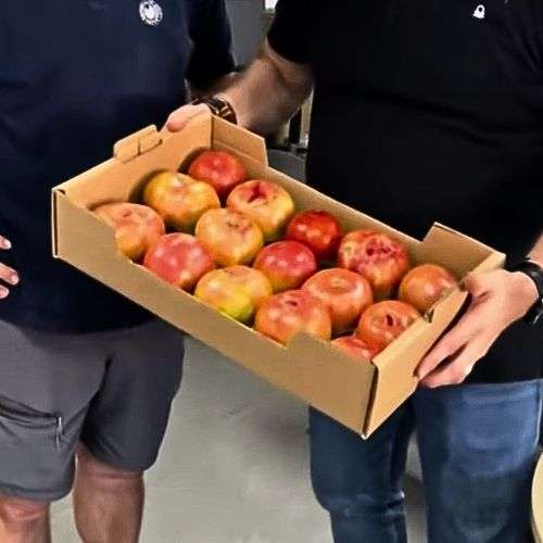 Cajas para frutas y verduras