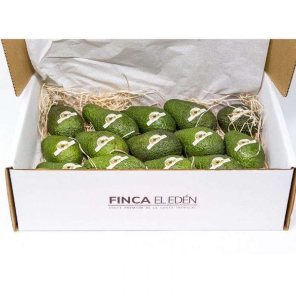 cajas para aguacates