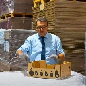 cajas para 10 kg de frutas y verduras, montada vista lado largo