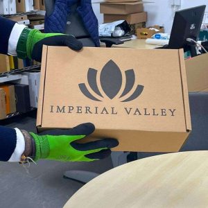 Cajas de Cartón para Zapatos 30x20x12 CANAL 3 FUERTE