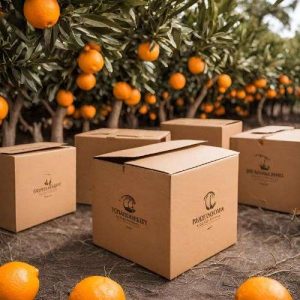 cajas para frutas