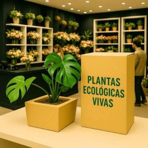 CAJAS para FLORES y PLANTAS