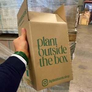 cajas para flores y plantas modelo B1 con 4 solapas superiores y 4 solapas inferiores
