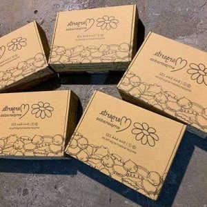 Cajas para Empanadillas 24,5x17,5x6 MÁS VENDIDA