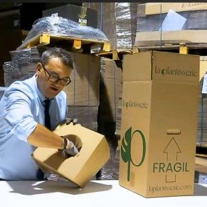 Cajas para Flores y Plantas 30x30x60 + SOPORTE