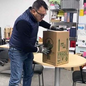 Cajas para Flores y Plantas 35x35x50 RAMOS GRANDES