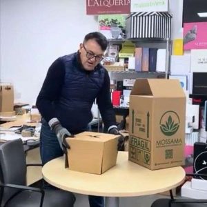 Cajas para Ramos de Flores 30x30x50 con SOPORTE